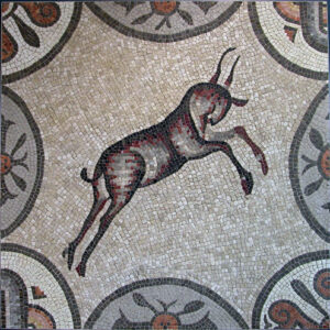 Capra
