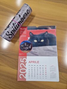 calendario gatti2