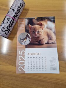 calendario gatti 1